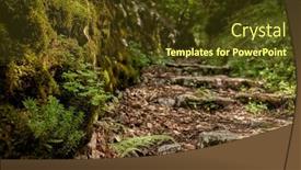  Presentation with pathway - PPT theme having pathway-in-the-forest background and a tawny brown colored foreground