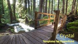  Presentation with pathway - Slides enhanced with pathway-in-the-sequoia-forest background and a tawny brown colored foreground