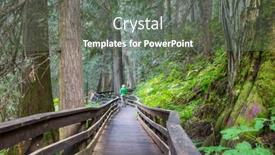  Presentation with pathway - Presentation design enhanced with pathway-in-the-sequoia-forest background and a gray colored foreground