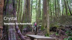  Presentation with pathway - Theme with pathway-in-the-sequoia-forest background and a dark gray colored foreground