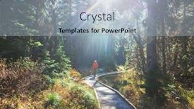  Presentation with pathway - Presentation featuring pathway-in-the-sequoia-forest background and a light blue colored foreground