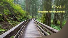  Presentation with pathway - Slides having pathway-in-the-sequoia-forest background and a tawny brown colored foreground