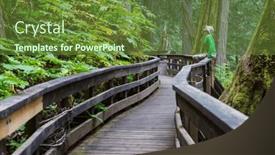  Presentation with pathway - PPT theme enhanced with pathway-in-the-sequoia-forest background and a tawny brown colored foreground