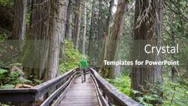  Presentation with pathway - PPT layouts with pathway-in-the-sequoia-forest background and a gray colored foreground