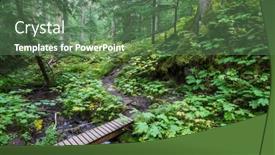  Presentation with pathway - PPT theme having pathway-in-the-sequoia-forest background and a ocean colored foreground