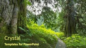  Presentation with pathway - Presentation theme having pathway-in-the-sequoia-forest background and a tawny brown colored foreground