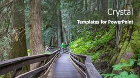  Presentation with pathway - Slides enhanced with pathway-in-the-sequoia-forest background and a dark gray colored foreground