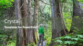  Presentation with pathway - Slide set featuring pathway-in-the-sequoia-forest background and a gray colored foreground