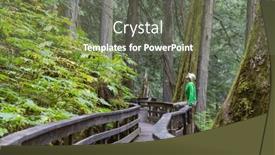  Presentation with pathway - PPT layouts with pathway-in-the-sequoia-forest background and a gray colored foreground