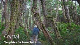  Presentation with pathway - Presentation theme enhanced with pathway-in-the-sequoia-forest background and a tawny brown colored foreground