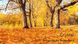  Presentation with pathway - Beautiful slides featuring pathway-in-the-sunny-autumn backdrop and a gold colored foreground