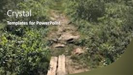  Presentation with pathway - Slide deck featuring pathway in the woods in labrador canada background and a tawny brown colored foreground