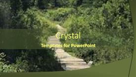  Presentation with pathway - Cool new theme with pathway in the woods in labrador canada backdrop and a tawny brown colored foreground