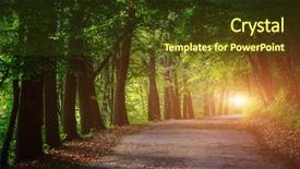  Presentation with magical - Presentation theme with pathway through a thick forest background and a tawny brown colored foreground