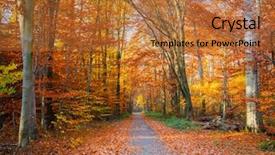  Presentation with autumn - Amazing presentation theme having pathway through the autumn forest backdrop and a red colored foreground