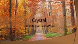  Presentation with pathway - Audience pleasing slide deck consisting of pathway through the autumn park backdrop and a red colored foreground