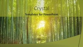  Presentation with pathway - PPT theme with pathway-through-the-bamboo-grove background and a gold colored foreground