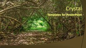  Presentation with green tree - PPT layouts enhanced with pathway-under-tree-growth-shows background and a tawny brown colored foreground