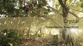  Presentation with pathway - Slide set featuring pathway with stoned aged stair background and a yellow colored foreground