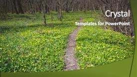  Presentation with pathway - Amazing presentation having pathways - pathway across spring meadow backdrop and a dark gray colored foreground