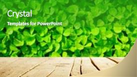  Presentation with old - Slide set consisting of st patricks - st patrick's day background background and a shamrock green colored foreground