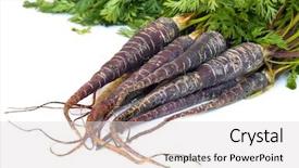  Presentation with lilac flowers bunch over wood - PPT theme enhanced with patrimoin - bunch of heirloom purple carrots background and a lemonade colored foreground