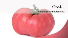  Presentation with pink white - PPT theme featuring patrimoin - closeup of a pink beef background and a white colored foreground