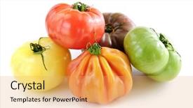  Presentation with multi cultural kids - Presentation enhanced with patrimoin - multi colored heirloom tomatoes isolated background and a yellow colored foreground