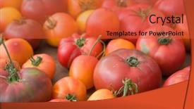  Presentation with on lutus organic skincare - Slides featuring patrimoin - organic heirloom tomatoes - narrow background and a red colored foreground