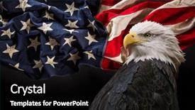  Presentation with patriotic - Colorful presentation design enhanced with patriotic - north american bald eagle backdrop and a black colored foreground