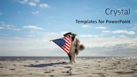 Presentation with patriotic border - Slide set featuring patriotic-border-collie-dog-running background and a light blue colored foreground