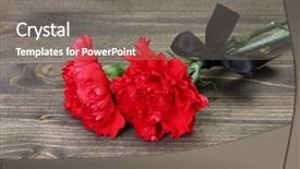  Presentation with grey black white brick - Slides having patriotic plant - carnations and black ribbon background and a gray colored foreground
