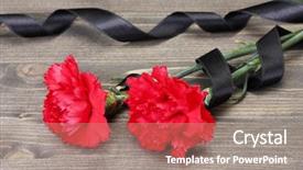  Presentation with black - Presentation consisting of patriotic plant - carnations and black ribbon background and a  colored foreground