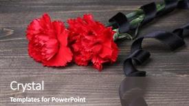  Presentation with grey black white brick - Audience pleasing slides consisting of patriotic plant - carnations and black ribbon backdrop and a  colored foreground