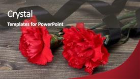  Presentation with black - Colorful PPT theme enhanced with patriotic plant - carnations and black ribbon backdrop and a  colored foreground