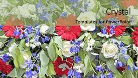  Presentation with patriotic - Beautiful presentation theme featuring patriotic plant - mixed bouquet with blossoming flowers backdrop and a mint green colored foreground