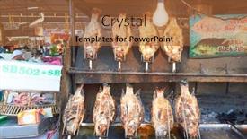  Presentation with popular - 