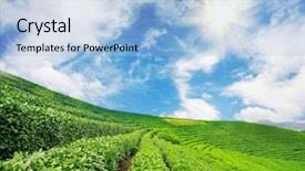  Presentation with green tea - Presentation theme having pattern of bright green tea background and a light blue colored foreground