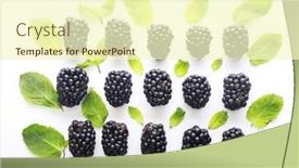  Presentation with mint - PPT theme consisting of pattern-of-fresh-blackberries-wit background and a  colored foreground