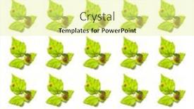  Presentation with high quality - Slide set enhanced with pattern-of-fresh-organic-raw background and a blonde colored foreground