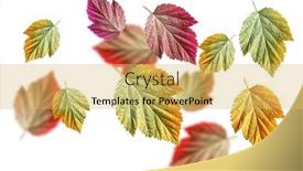  Presentation with high quality - PPT theme featuring pattern-of-green-ish-red background and a yellow colored foreground