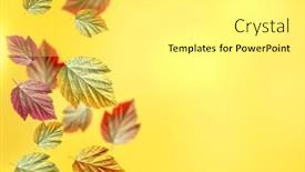  Presentation with high quality - Theme having pattern-of-green-ish-red background and a yellow colored foreground
