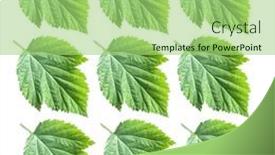  Presentation with high quality - PPT layouts featuring pattern-of-raspberry-green-fresh background and a mint green colored foreground