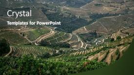  Presentation with tribal pattern - Slide deck featuring pattern-of-vines-cultivated background and a dark gray colored foreground