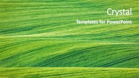  Presentation with green abstract leaves texture - Presentation theme consisting of pattern texture of rolling fields background and a seafoam green colored foreground