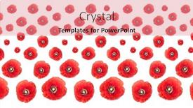  Presentation with poppies - Presentation design enhanced with patterned-poppies-collage-on-white background and a coral colored foreground