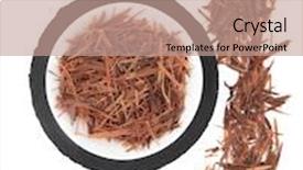  Presentation with porcelain - Beautiful presentation theme featuring health inflamatory - pau d'arco herb backdrop and a coral colored foreground