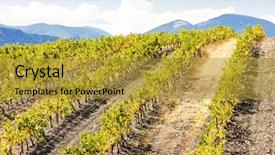  Presentation with paul - Presentation having vineyars near saint-paul-de background and a  colored foreground