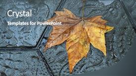  Presentation with pavement - PPT theme consisting of pavers - high-angle shot of a dry background and a gray colored foreground