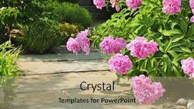  Presentation with peony - PPT theme enhanced with paving - summer garden with paved path background and a coral colored foreground